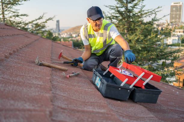 Best Demolition Debris Removal  in New Baltimore, MI